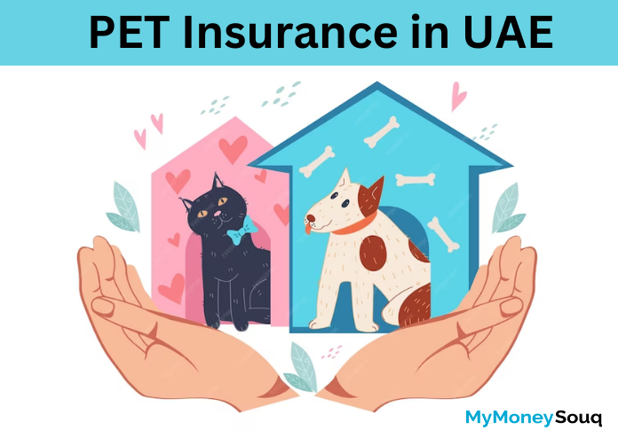 Pet Insurance in Dubai & UAE